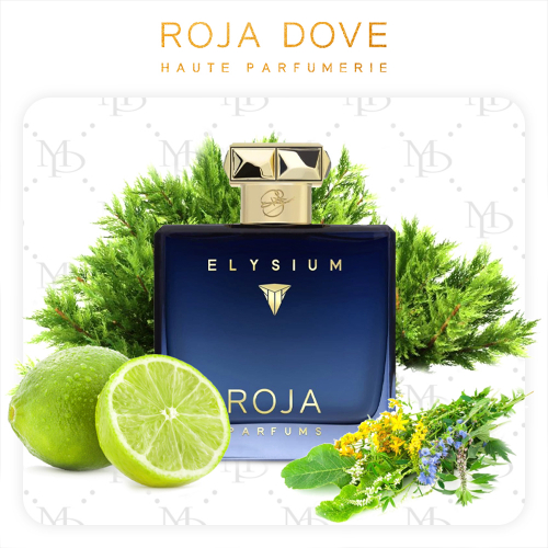Roja Dove Elysium Pour Homme men - My Parfumer