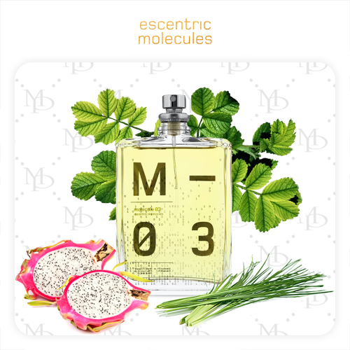 Escentric Molecules 03 unisex - My Parfumer