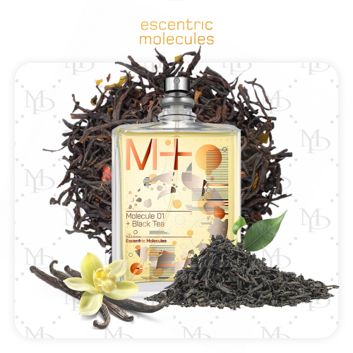 Escentric Molecules 01 + Black Tea unisex - My Parfumer