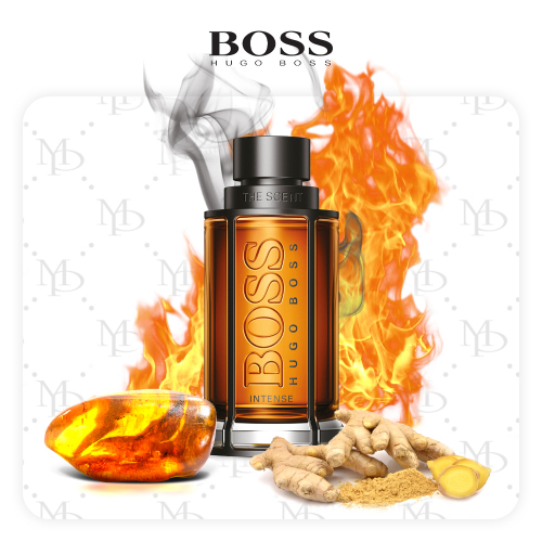 Hugo Boss The Scent men - My Parfumer
