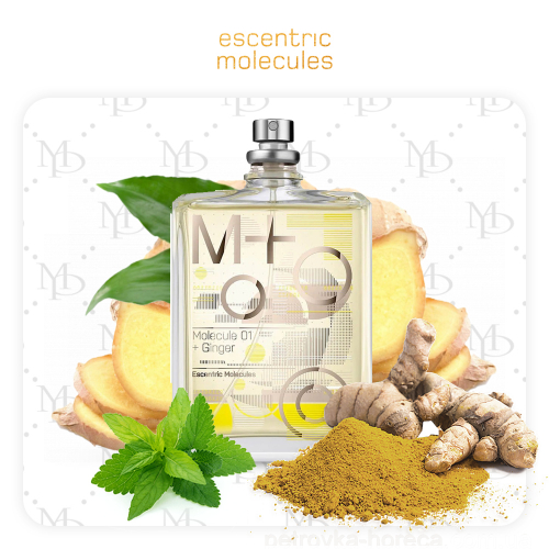 Escentric Molecules 01 + Ginger - My Parfumer