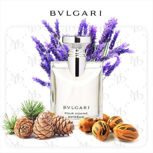 Bvlgari Pour Homme Extreme - My Parfumer