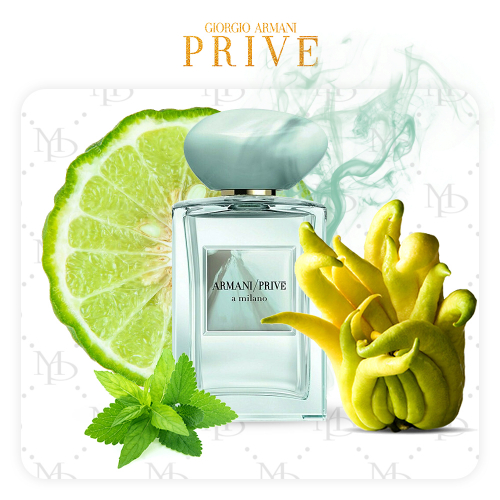 Giorgio Armani a milano - My Parfumer