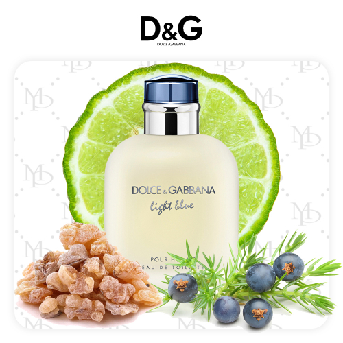 D&G Light Blue Pour Homme - My Parfumer
