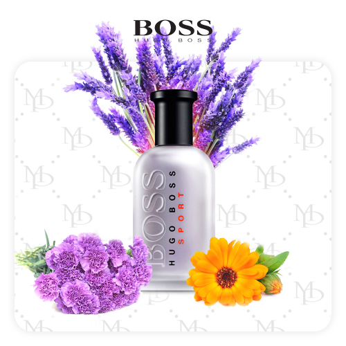 Hugo Boss Sport men - My Parfumer