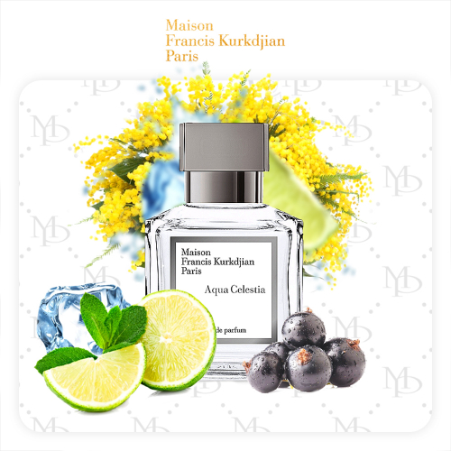 Maison Francis Kurkdjian Aqua Celestia unisex - My Parfumer